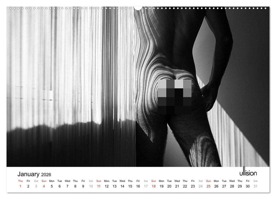 Male Nude Art (CALVENDO Premium-Calendar 2026)