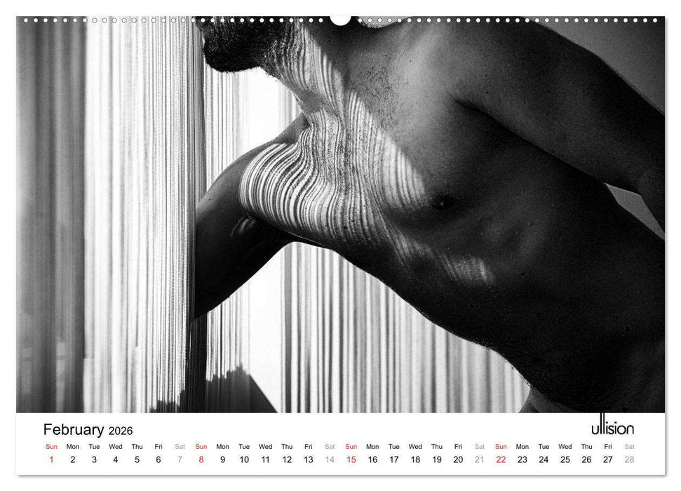 Male Nude Art (CALVENDO Premium-Calendar 2026)