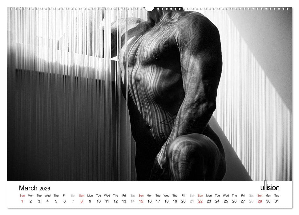 Male Nude Art (CALVENDO Premium-Calendar 2026)