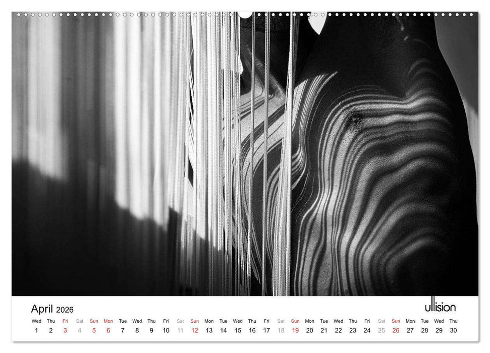 Male Nude Art (CALVENDO Premium-Calendar 2026)