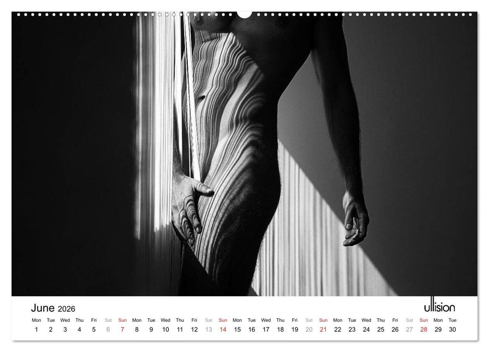 Male Nude Art (CALVENDO Premium-Calendar 2026)