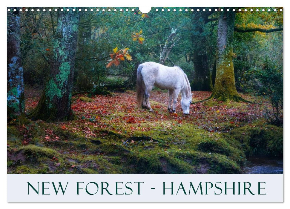 New Forest Hampshire (CALVENDO Monthly Calendar 2026)