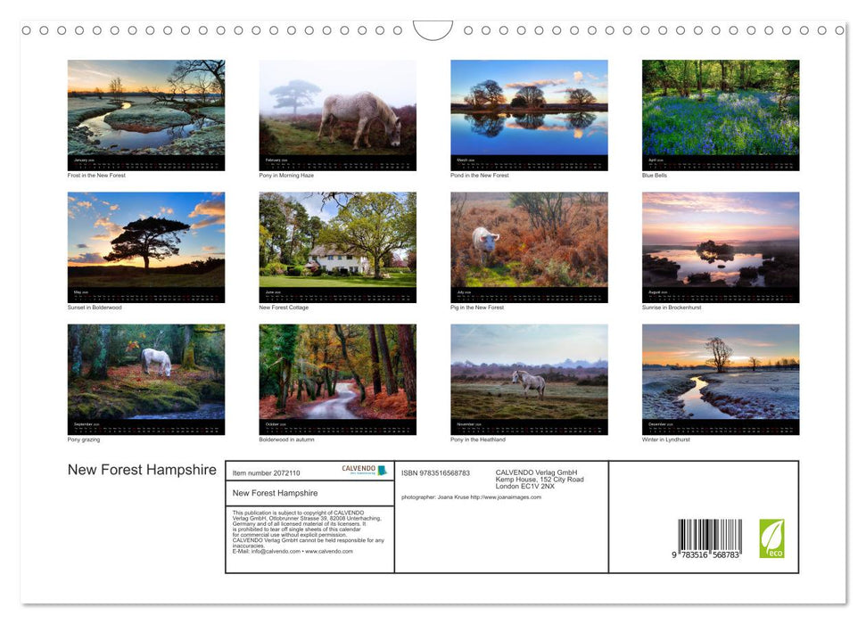 New Forest Hampshire (CALVENDO Monthly Calendar 2026)
