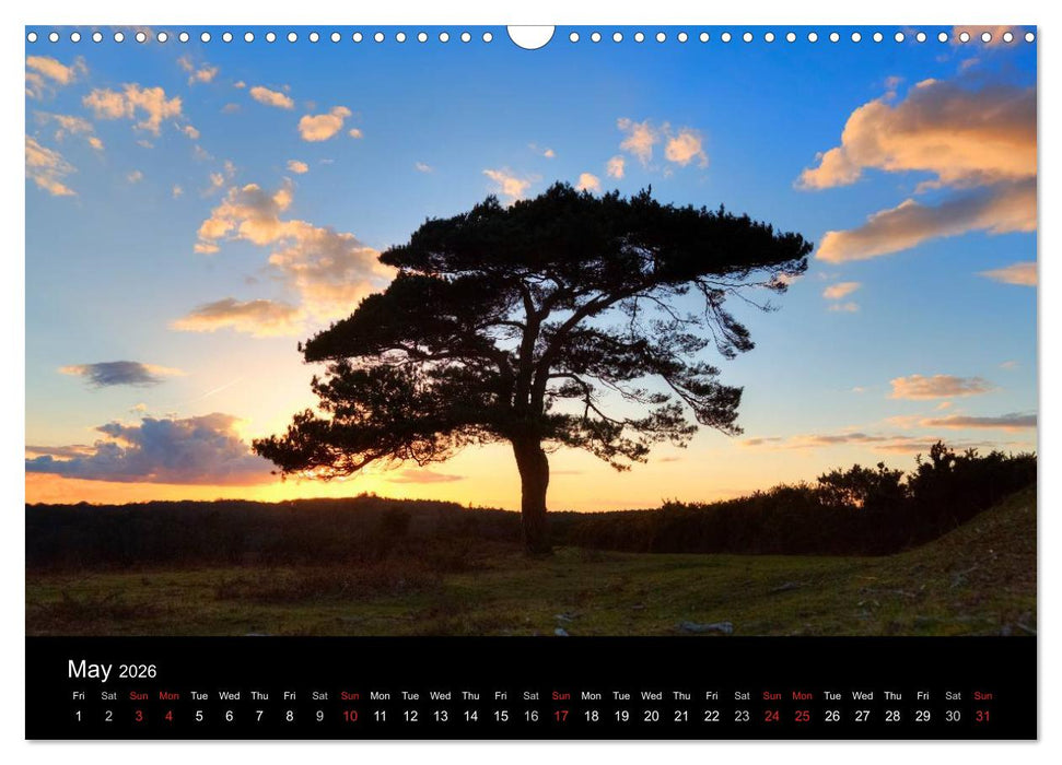 New Forest Hampshire (CALVENDO Monthly Calendar 2026)