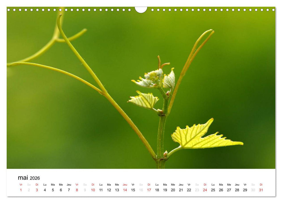 Genève Points de vue (CALVENDO Calendrier mensuel 2026)