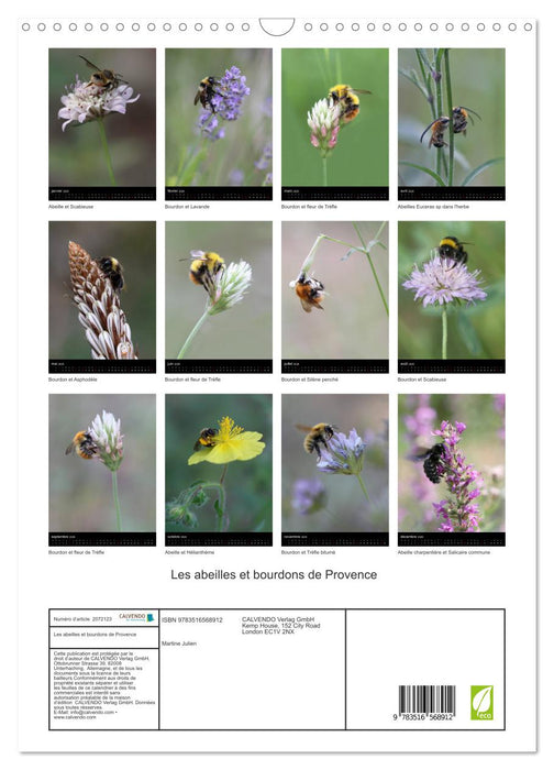 Les abeilles et bourdons de Provence (CALVENDO Calendrier mensuel 2026)