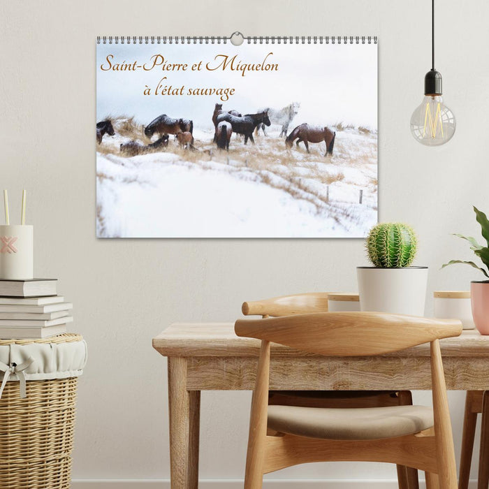Saint-Pierre et Miquelon à l'état sauvage (CALVENDO Calendrier mensuel 2026)