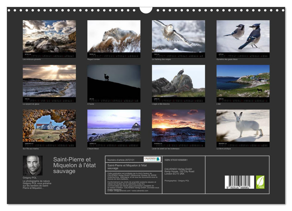 Saint-Pierre et Miquelon à l'état sauvage (CALVENDO Calendrier mensuel 2026)