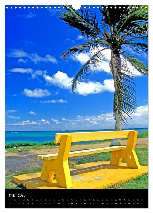 Couleurs Martinique (CALVENDO Calendrier mensuel 2026)