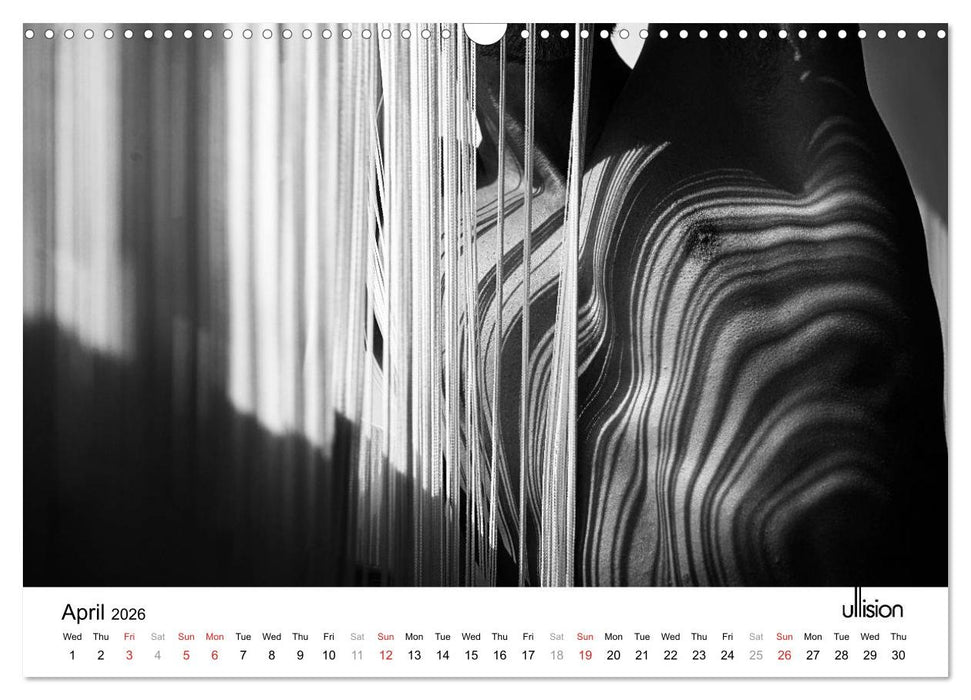 Male Nude Art (CALVENDO Monthly Calendar 2026)
