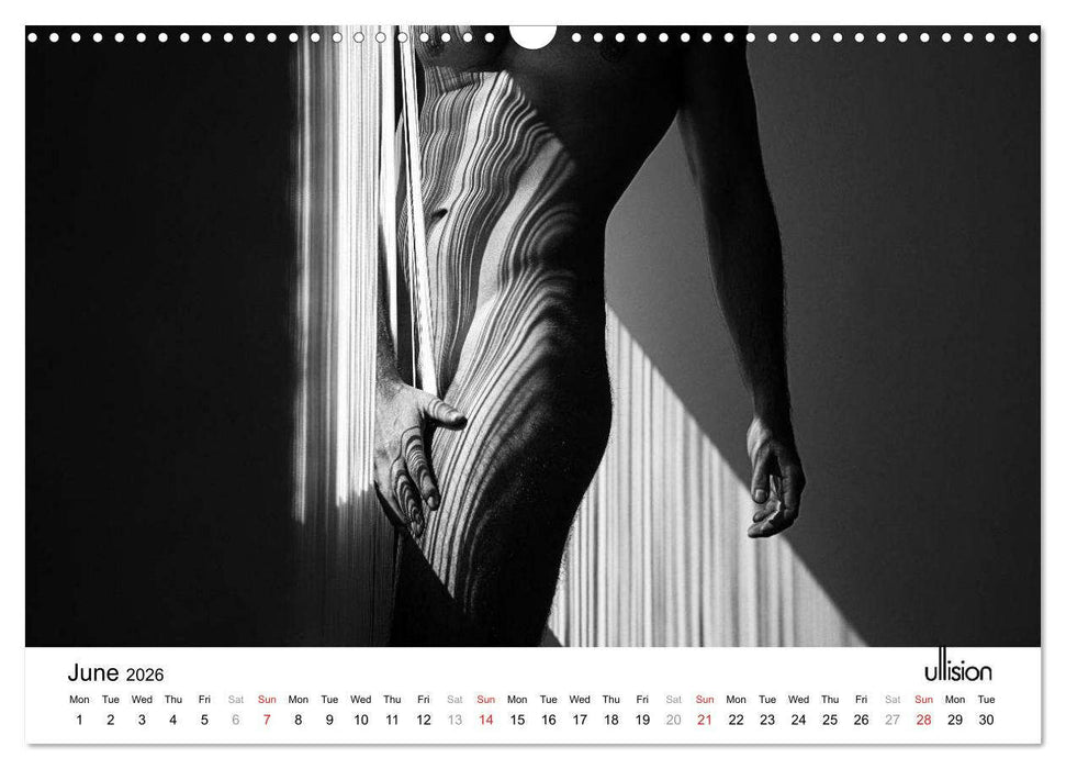 Male Nude Art (CALVENDO Monthly Calendar 2026)