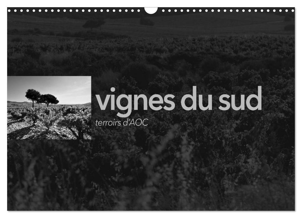 VIGNES DU SUD terroirs d'AOC (CALVENDO Calendrier mensuel 2026)