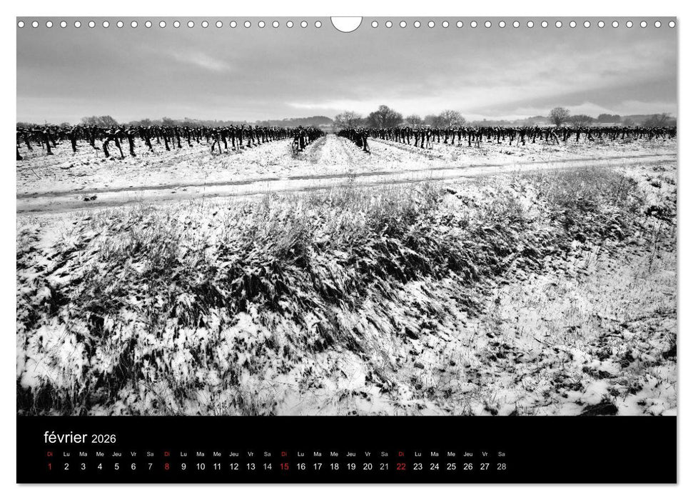 VIGNES DU SUD terroirs d'AOC (CALVENDO Calendrier mensuel 2026)