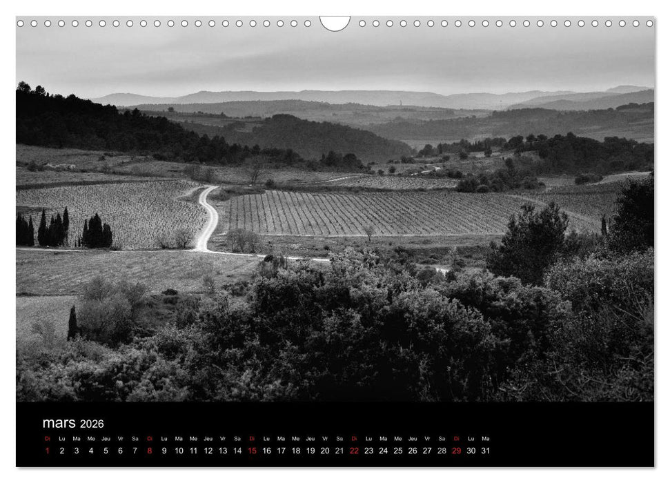VIGNES DU SUD terroirs d'AOC (CALVENDO Calendrier mensuel 2026)