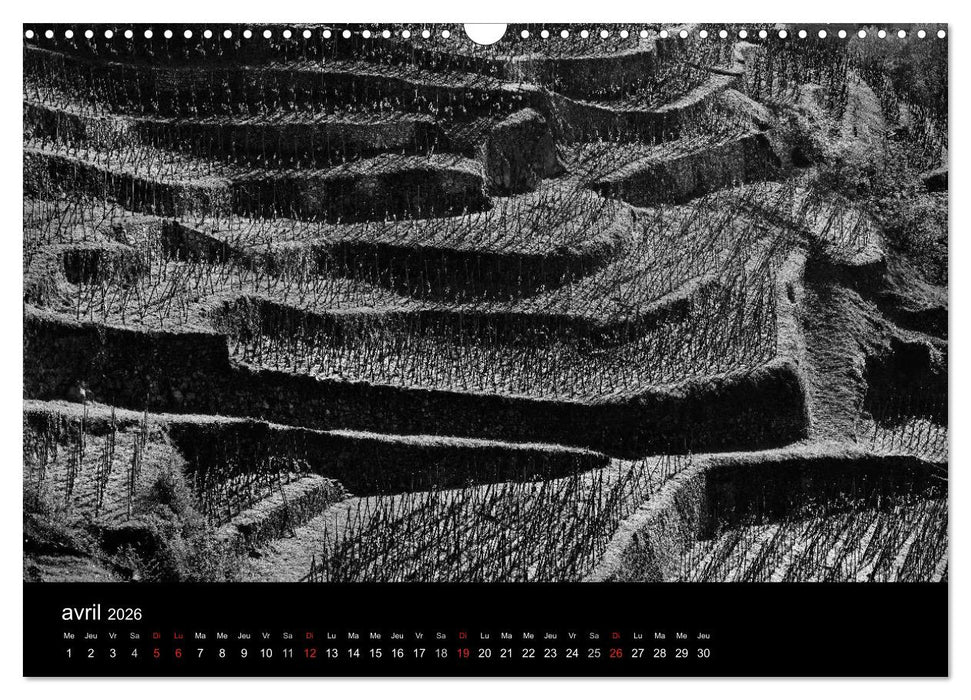 VIGNES DU SUD terroirs d'AOC (CALVENDO Calendrier mensuel 2026)