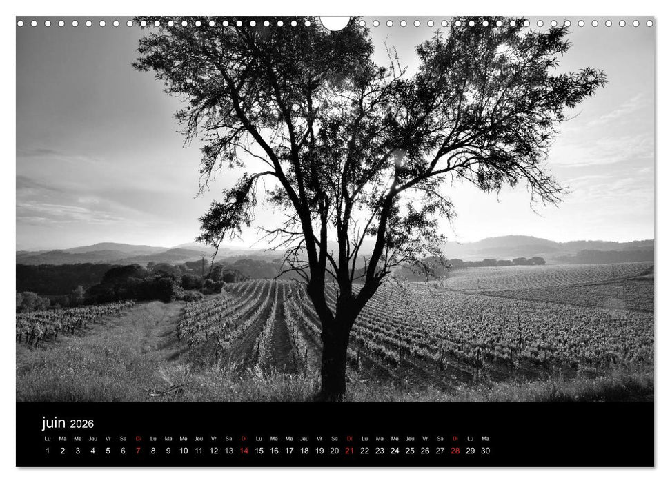 VIGNES DU SUD terroirs d'AOC (CALVENDO Calendrier mensuel 2026)