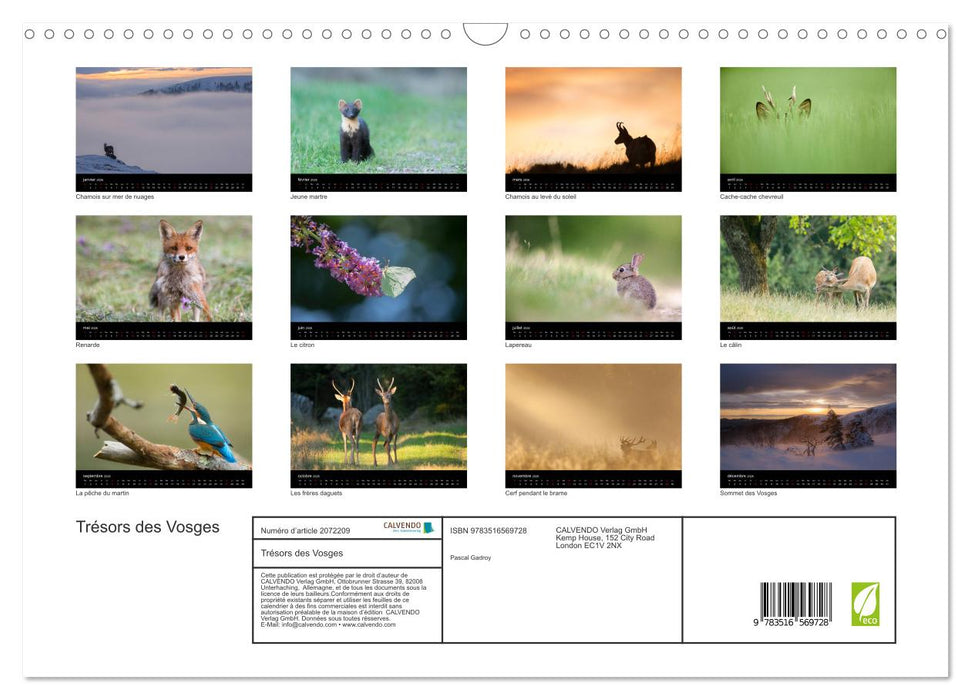 Trésors des Vosges (CALVENDO Calendrier mensuel 2026)