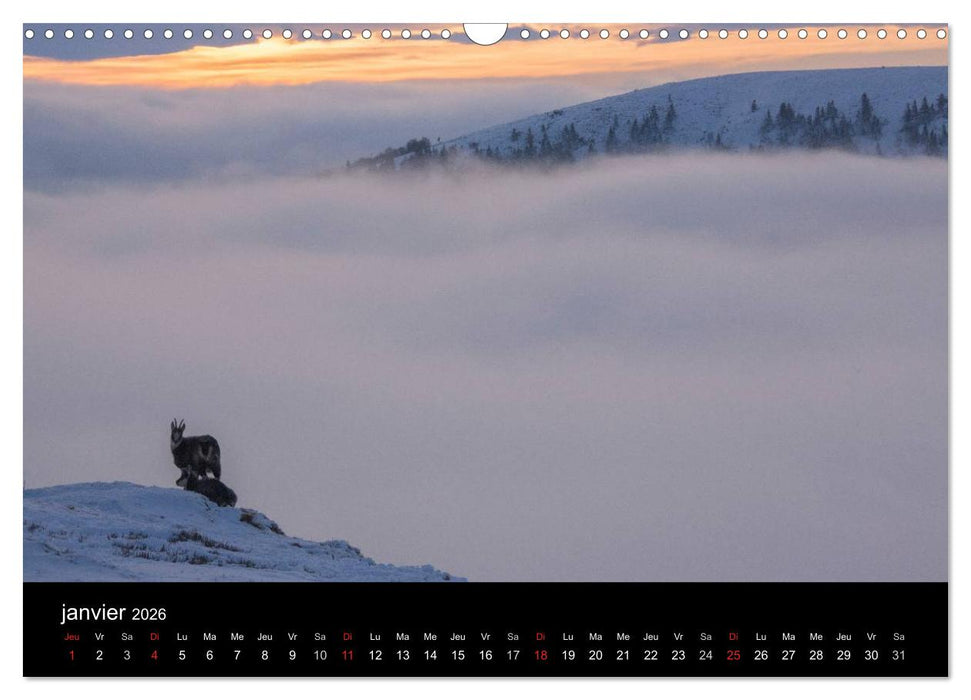 Trésors des Vosges (CALVENDO Calendrier mensuel 2026)