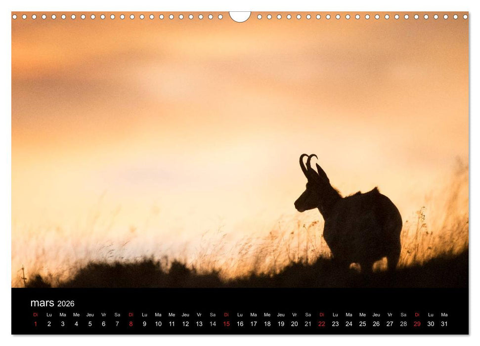 Trésors des Vosges (CALVENDO Calendrier mensuel 2026)