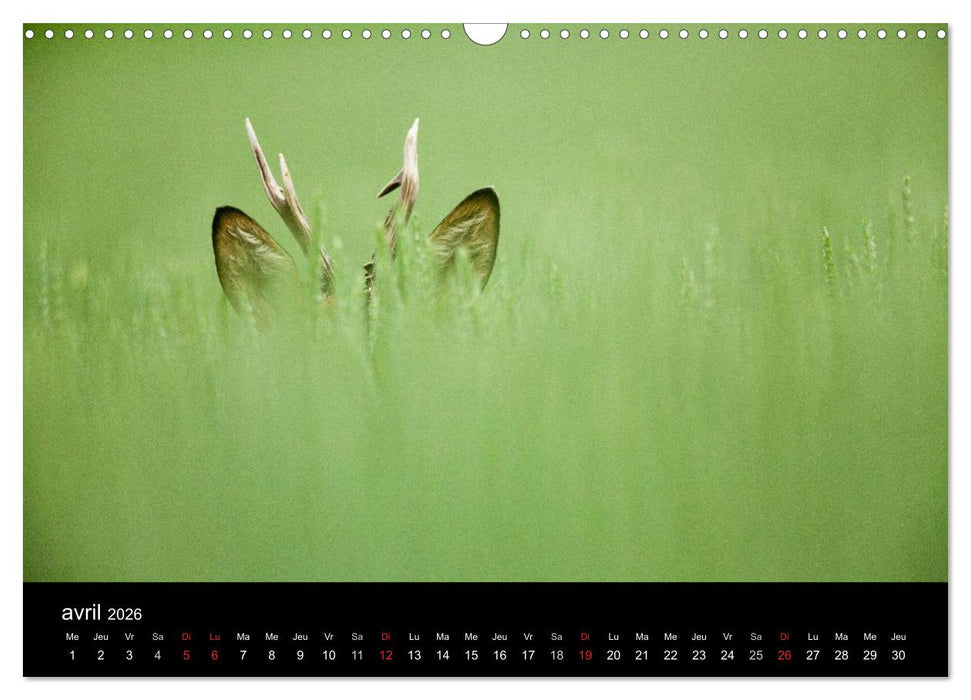 Trésors des Vosges (CALVENDO Calendrier mensuel 2026)