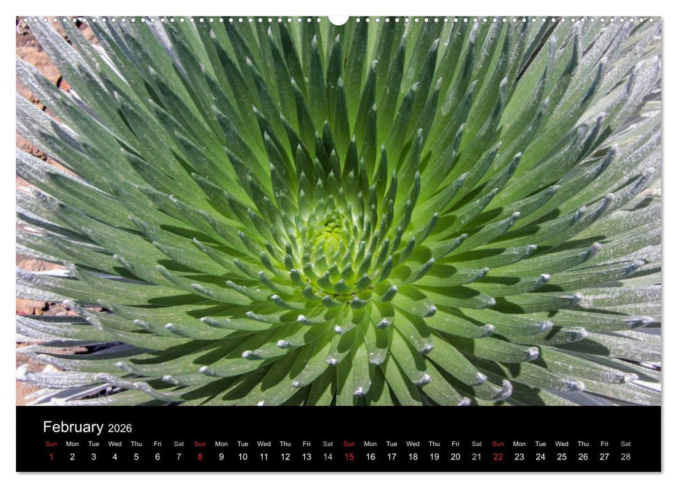 Paradise on Earth HAWAII (CALVENDO Premium-Calendar 2026)