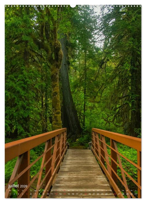 Géants verts de la forêt (CALVENDO Calendrier supérieur 2026)