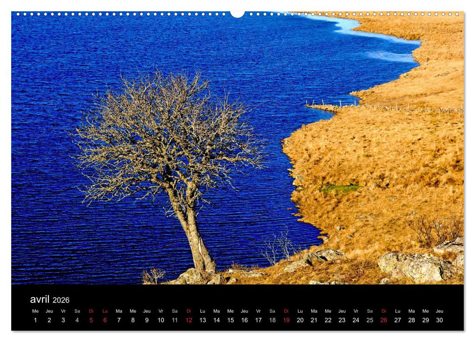 AUBRAC (CALVENDO Calendrier supérieur 2026)