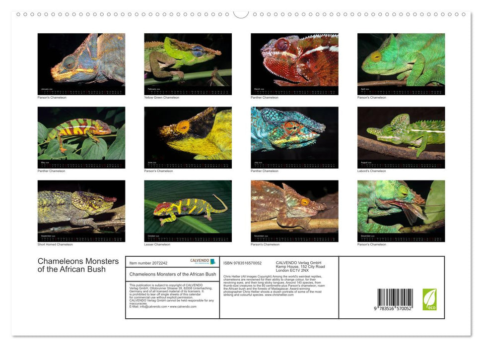 Chameleons Monsters of the African Bush (CALVENDO Premium-Calendar 2026)