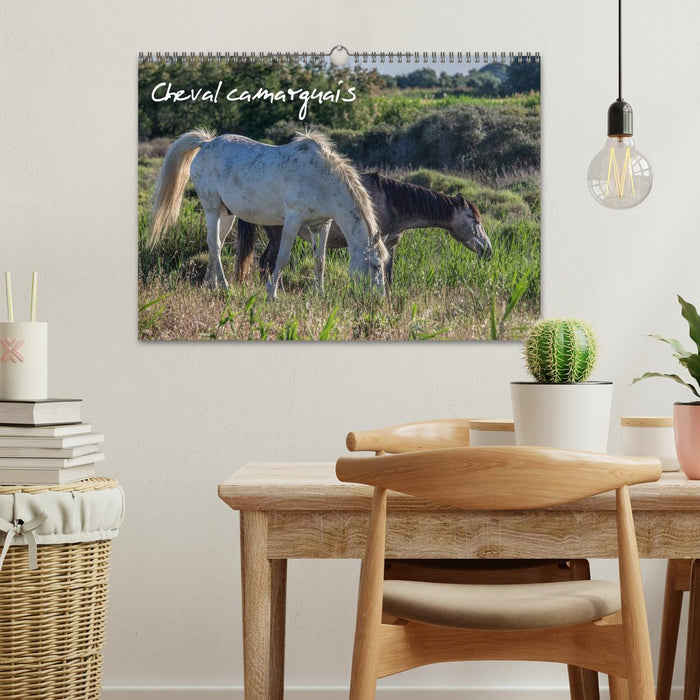 Cheval camarguais (CALVENDO Calendrier mensuel 2026)