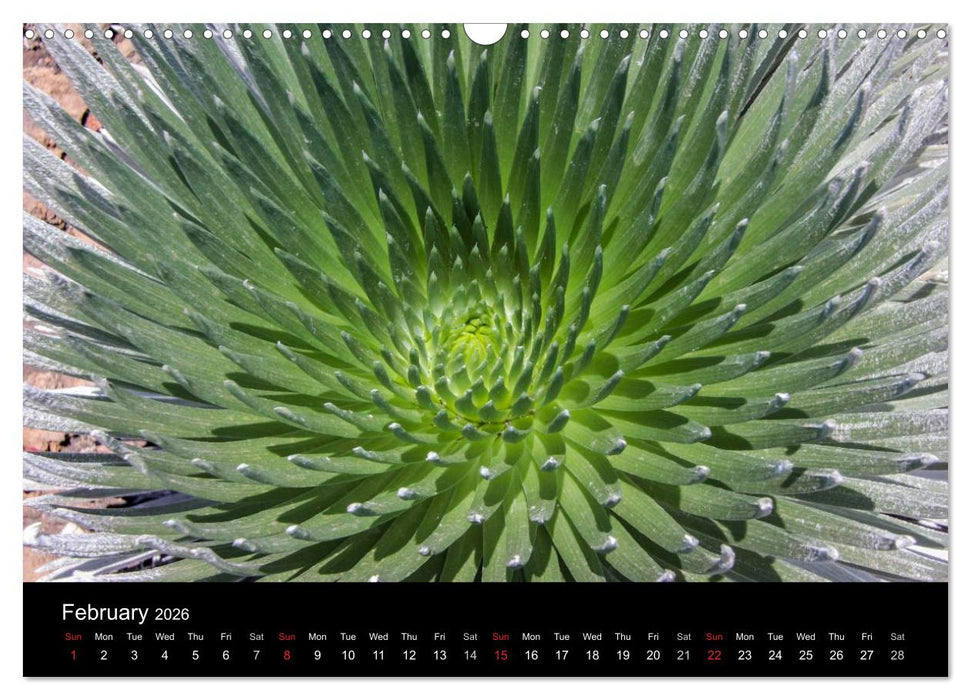 Paradise on Earth HAWAII (CALVENDO Monthly Calendar 2026)