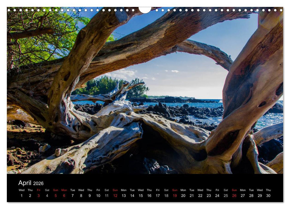 Paradise on Earth HAWAII (CALVENDO Monthly Calendar 2026)