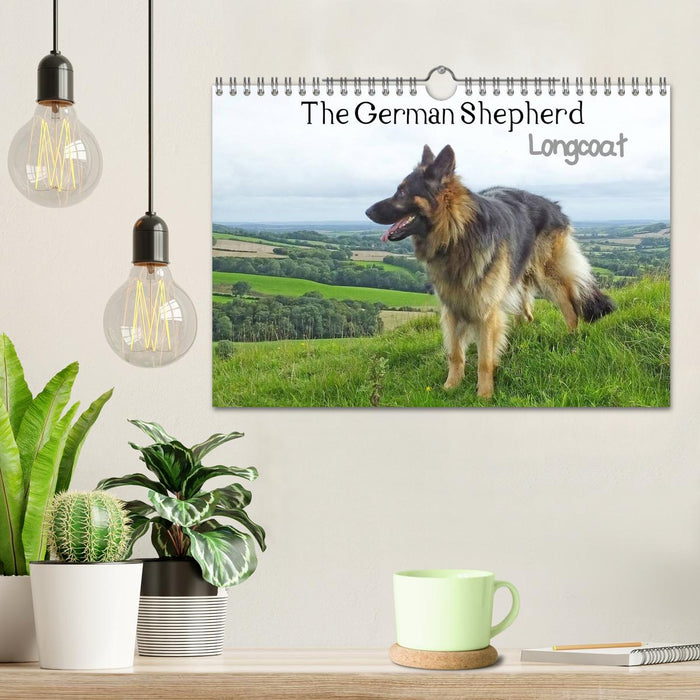 The German Shepherd Longcoat (CALVENDO Monthly Calendar 2026)