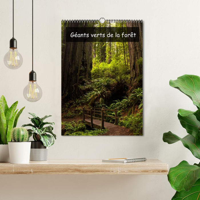 Géants verts de la forêt (CALVENDO Calendrier mensuel 2026)