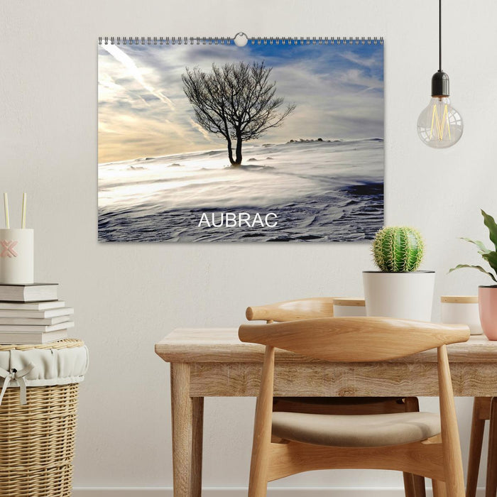 AUBRAC (CALVENDO Calendrier mensuel 2026)