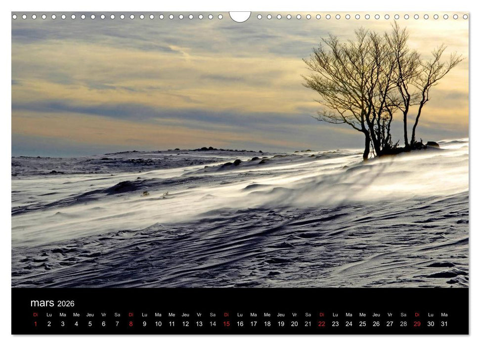 AUBRAC (CALVENDO Calendrier mensuel 2026)