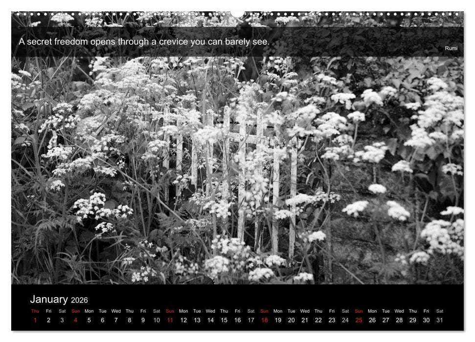 Through the Gate with Rumi (CALVENDO Premium-Calendar 2026)