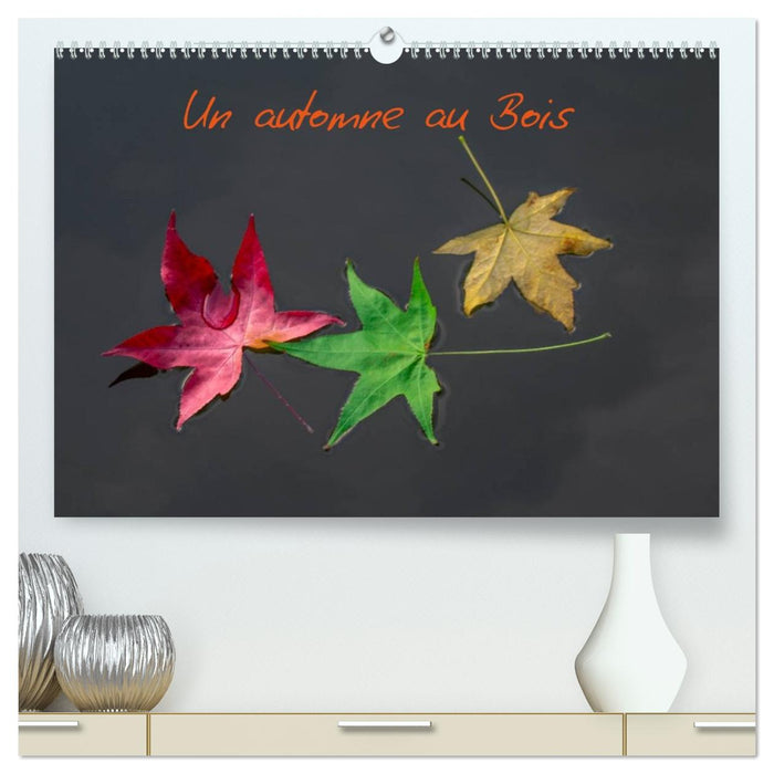 Un automne au Bois (CALVENDO Calendrier supérieur 2026)