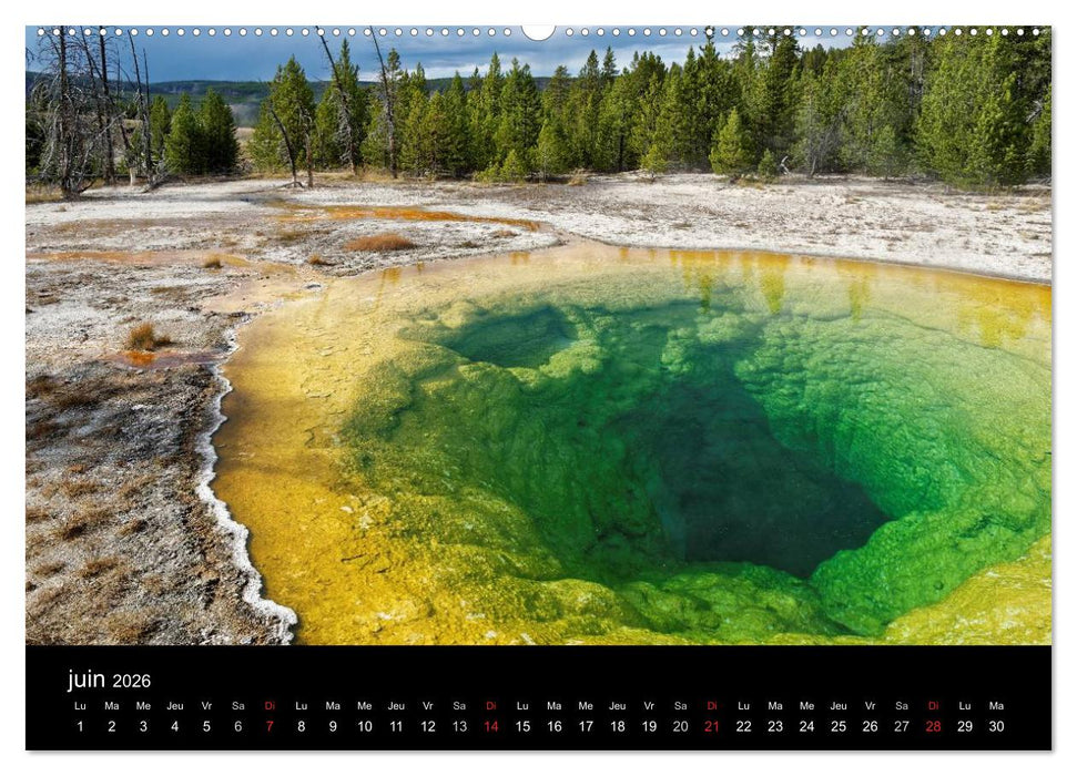 Yellowstone Un grand parc américain (CALVENDO Calendrier supérieur 2026)