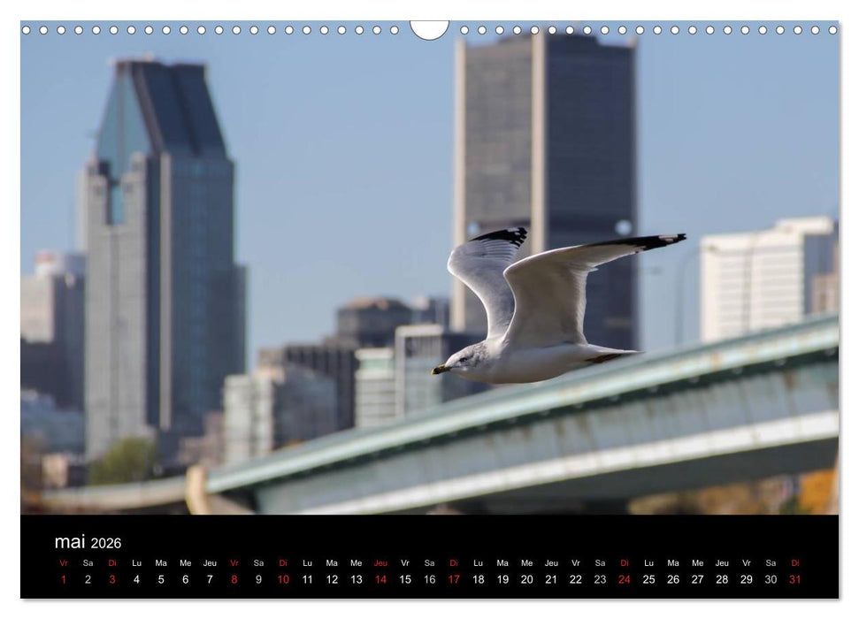 MONTRÉAL (CALVENDO Calendrier mensuel 2026)