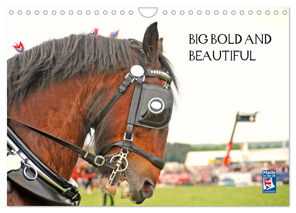 BIG BOLD AND BEAUTIFUL (CALVENDO Monthly Calendar 2026)