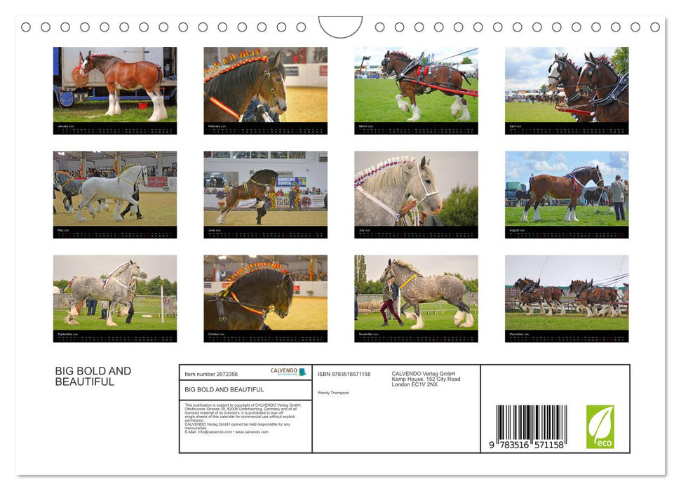 BIG BOLD AND BEAUTIFUL (CALVENDO Monthly Calendar 2026)