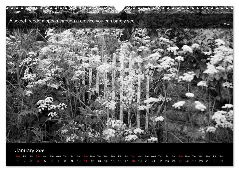 Through the Gate with Rumi (CALVENDO Monthly Calendar 2026)