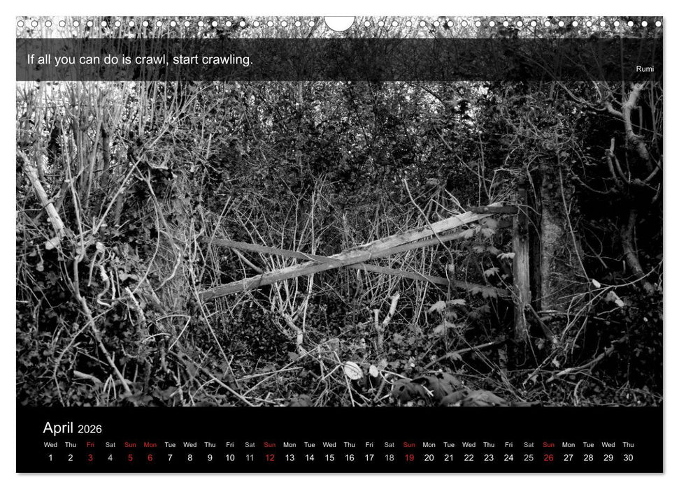 Through the Gate with Rumi (CALVENDO Monthly Calendar 2026)