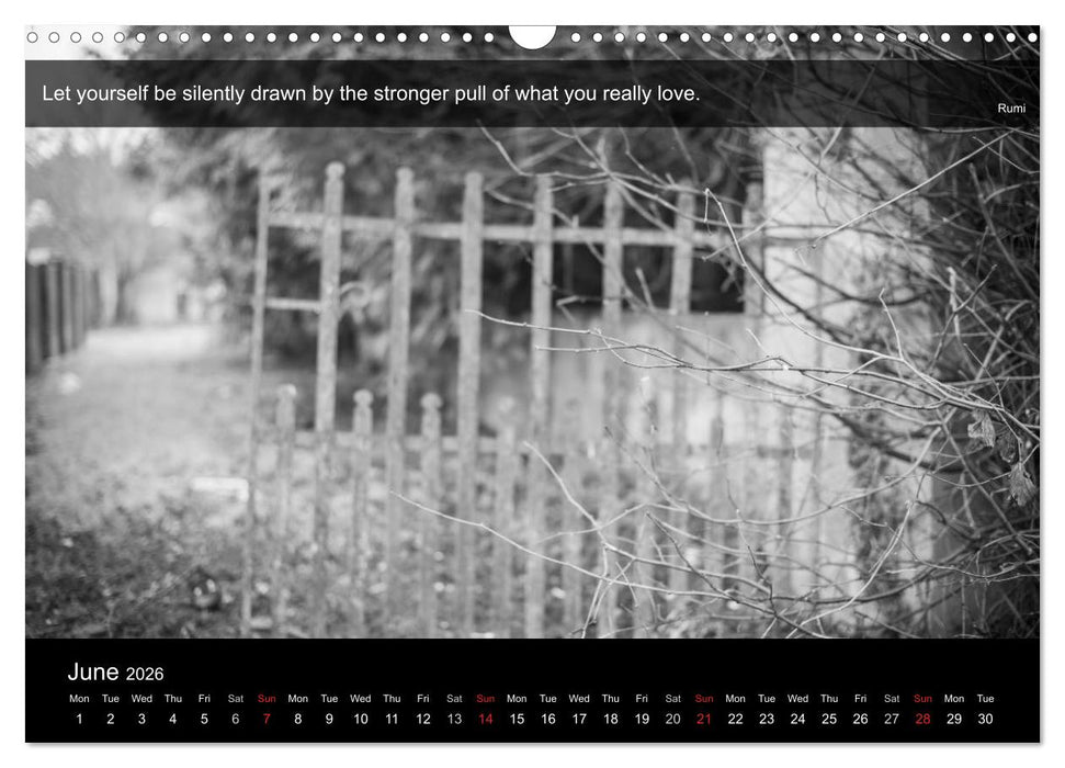 Through the Gate with Rumi (CALVENDO Monthly Calendar 2026)