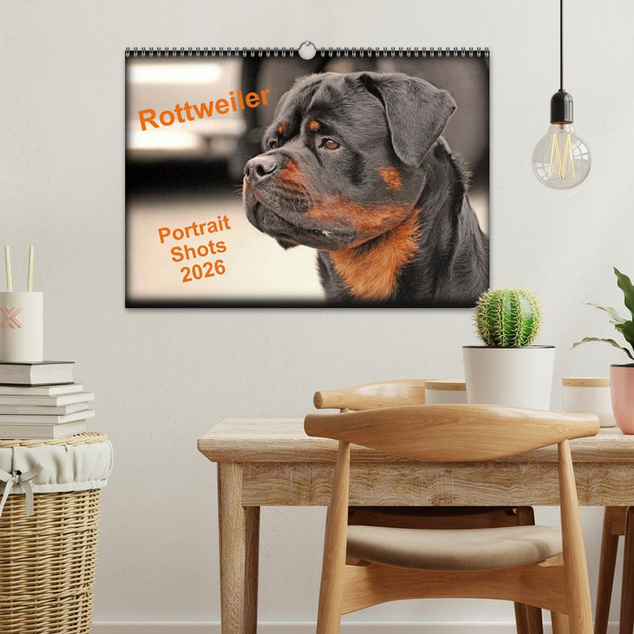 Rottweiler Portait Shots 2026 (CALVENDO Monthly Calendar 2026)