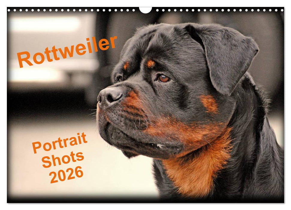 Rottweiler Portait Shots 2026 (CALVENDO Monthly Calendar 2026)
