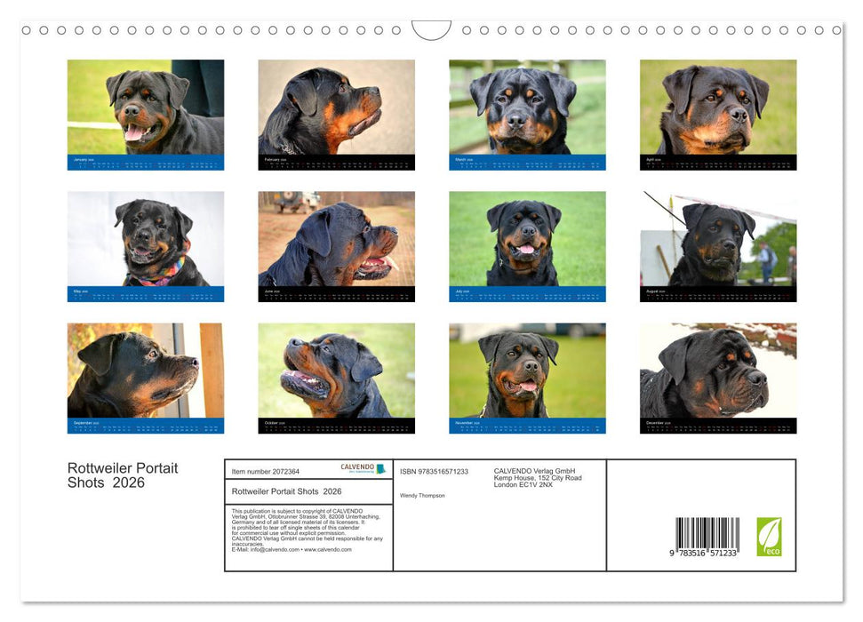 Rottweiler Portait Shots 2026 (CALVENDO Monthly Calendar 2026)