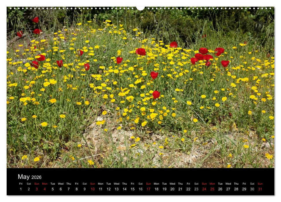 The Greek Island Of Ikaria (CALVENDO Premium-Calendar 2026)