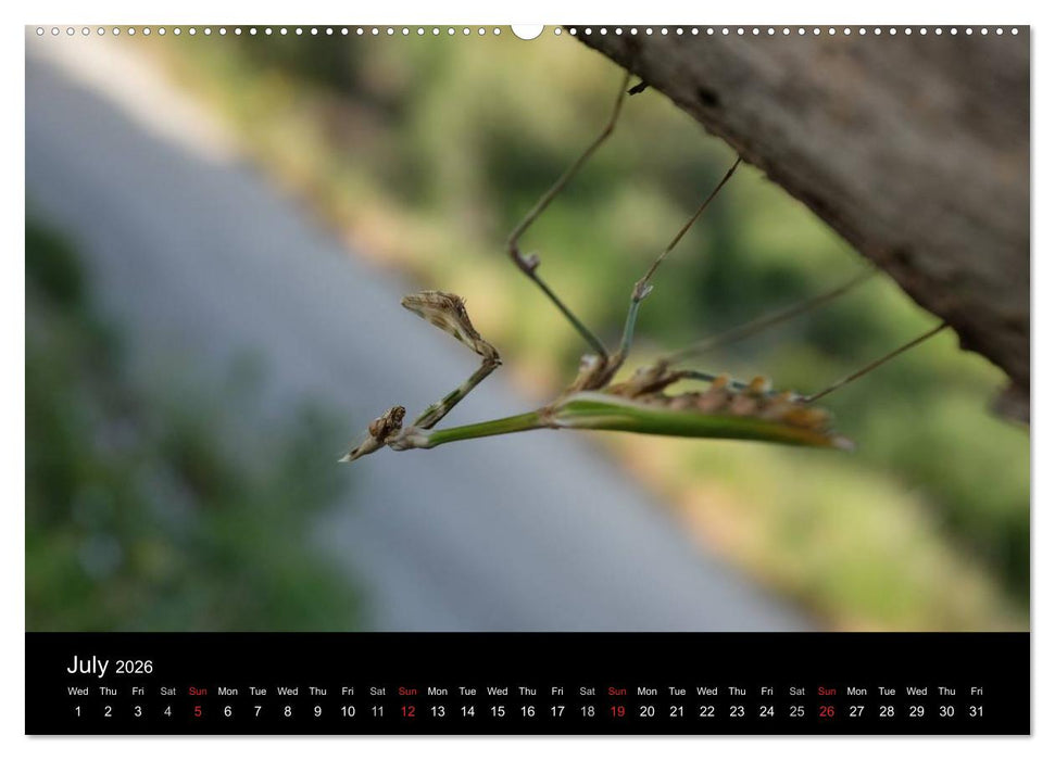 The Greek Island Of Ikaria (CALVENDO Premium-Calendar 2026)