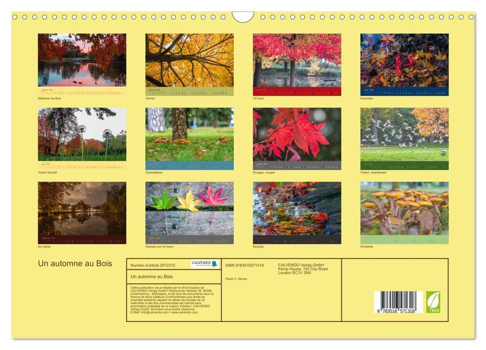 Un automne au Bois (CALVENDO Calendrier mensuel 2026)